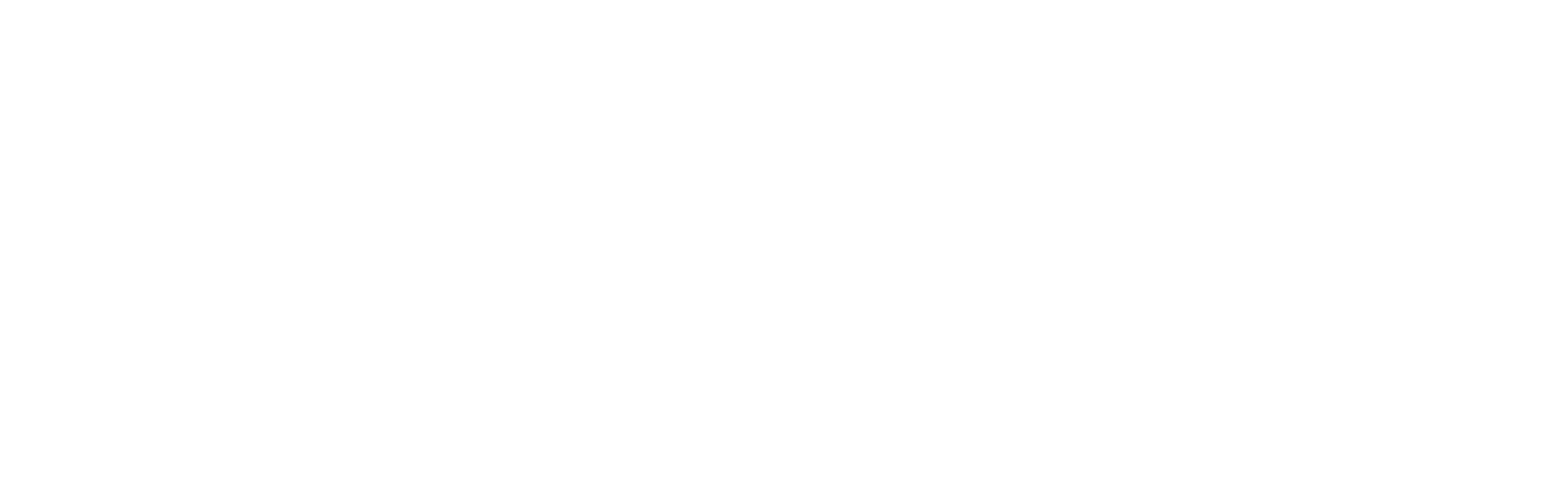 Engemon IT